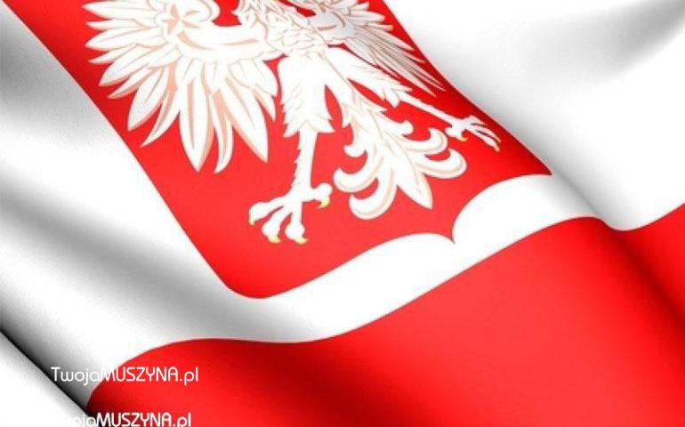 Polska flaga i godło