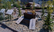 Biblické záhrady v Muszynie